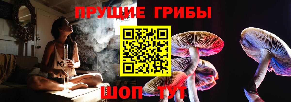 Псилоцибиновые грибы ЛСД Обь